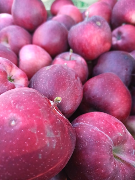 Herfstdag Landelijke tuin In het frame rijpe appels ochtendschot