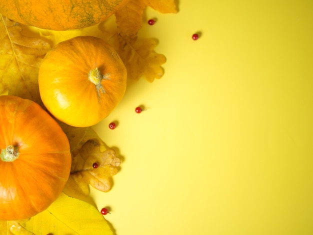 Herfstdecor van pompoenen, bessen en bladeren op een gele achtergrond herfstcompositie met kopieerruimte