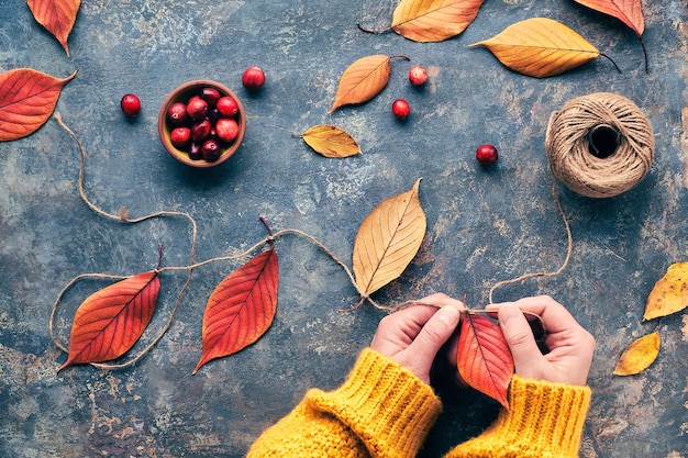 Foto herfstdecoraties gemaakt van natuurlijke materialen. slinger maken met hennepkoord en levendige rode herfstbladeren.