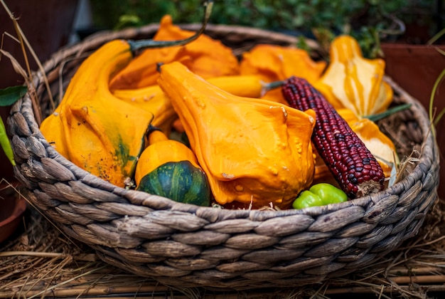 Herfstgroenten in rieten mand