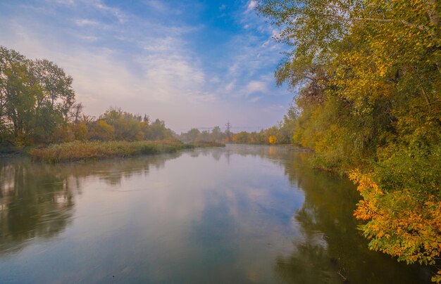 Herfsthout aan de oever van de rivier