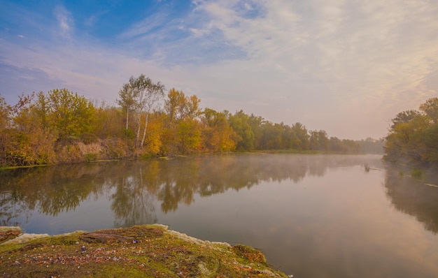 Herfsthout aan de oever van de rivier