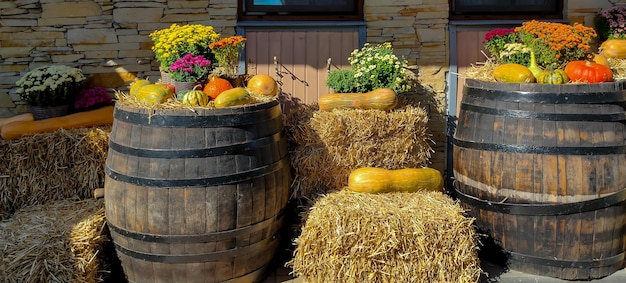 Foto herfstinstallaties hooi bloemen en pompoenen