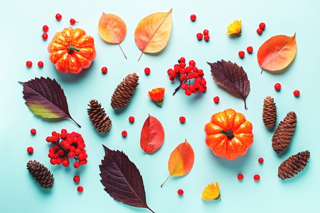 Herfstkaart met bladeren, lijsterbessen, oranje pompoenen, dennenappels op pastelachtergrond, plat gelegd. Herfst, Thanksgiving concept. Lay-out met herfstbladeren en planten in herfstkleuren, kopieer ruimte