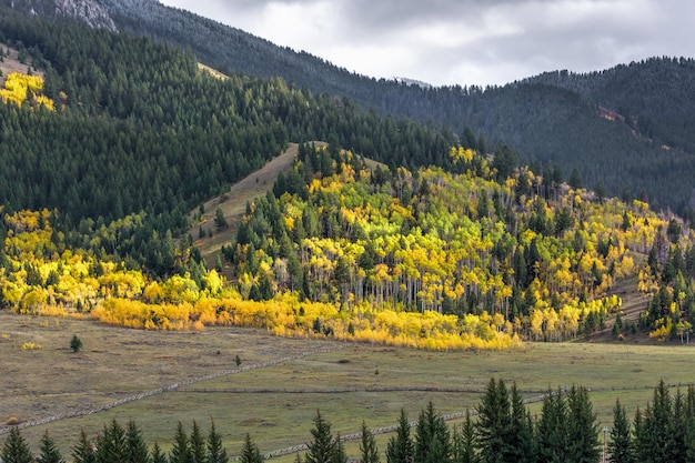 Herfstkleuren in Wyoming