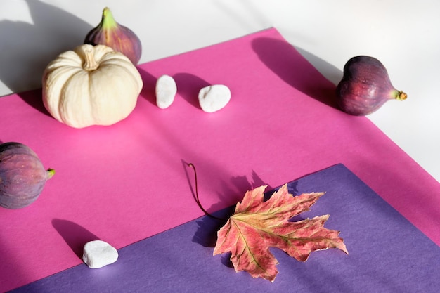 Herfstkleuren Paars en magenta vijgenfruit in terracotta schaal in de hand