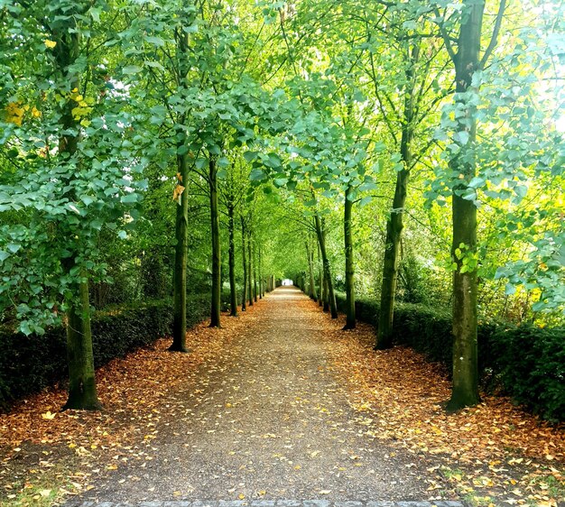 Herfstkleuren