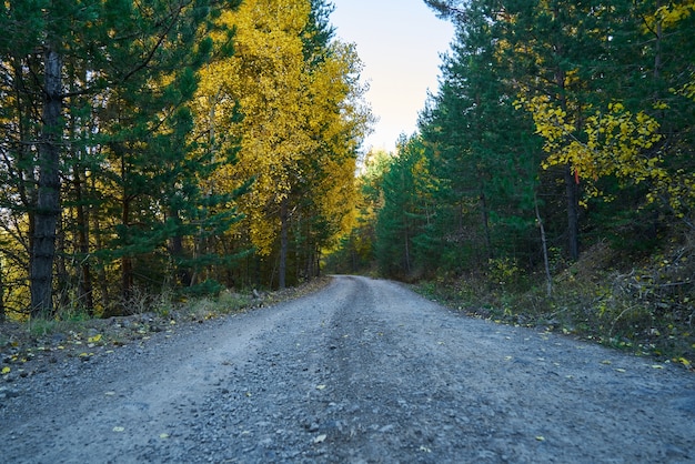 Herfstkleuren