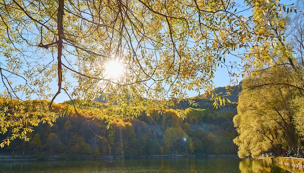 Herfstkleuren