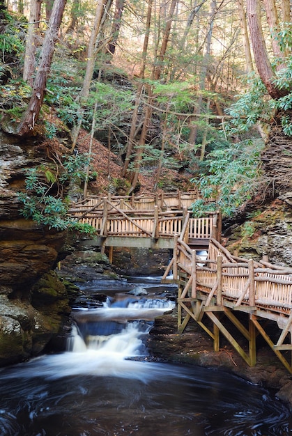 Herfstkreek met wandelpaden en gebladerte