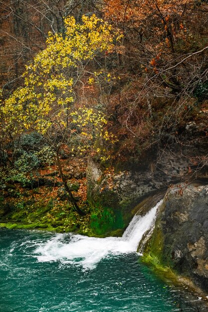 herfstlandschap aan de bron van een rivier