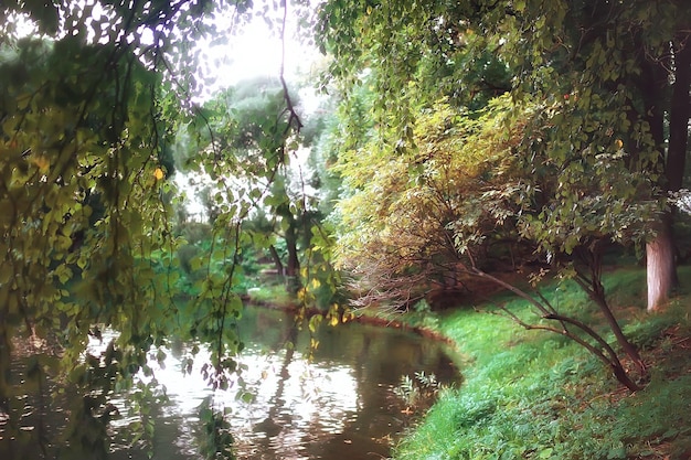 herfstlandschap / gele bomen in herfstpark, fel oranje bos