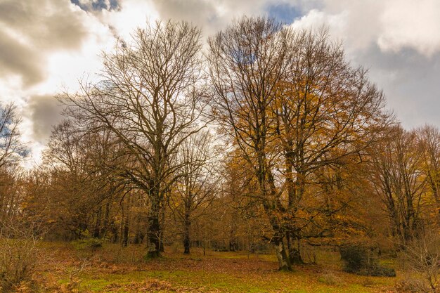 Foto herfstlandschap in de bergketen van urbasa navarra, spanje