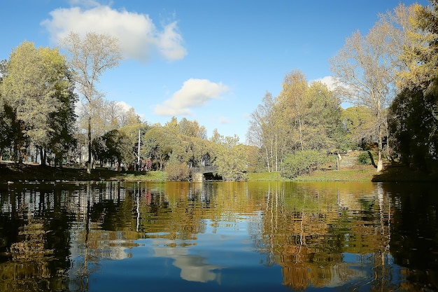 herfstlandschap in het park / seizoensgebonden geel landschap zonnig park met gevallen bladeren