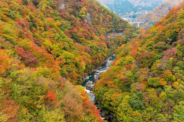 Herfstlandschap in kinugawa