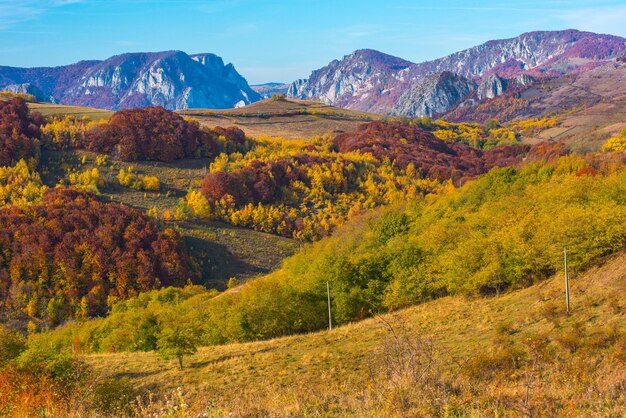 Herfstlandschap in Roemenië