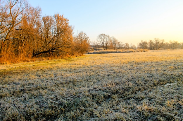 Herfstlandschap met bomen en brede weide bedekt door de eerste rijm