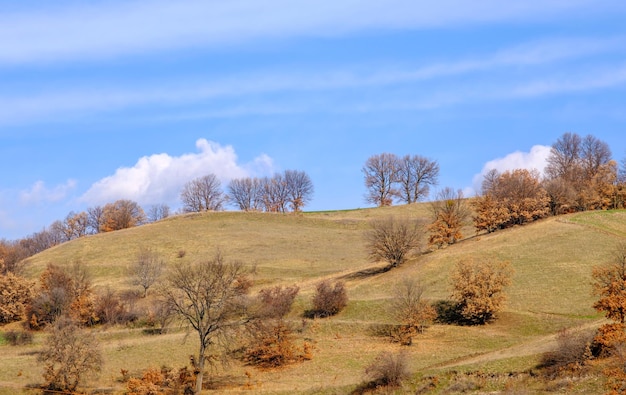 herfstlandschap met bomen en wolken