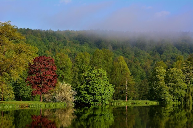 herfstlandschap met meer en bomen