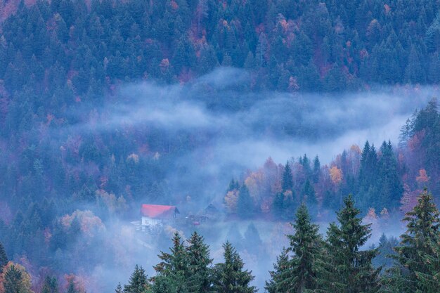 Herfstlandschap met mist in de bergen