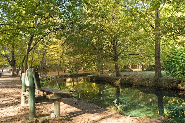 Herfstlandschap met weelderige bomen