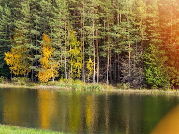 Herfstlandschap, prachtige herfstoever van het meer op een zonnige dag