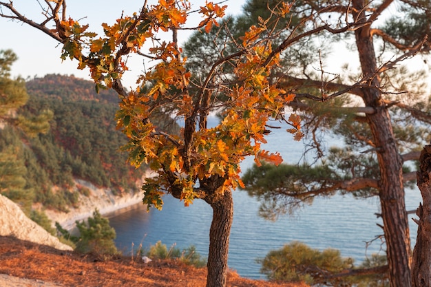 Herfstlandschap Reserve van het Krasnodar-gebied