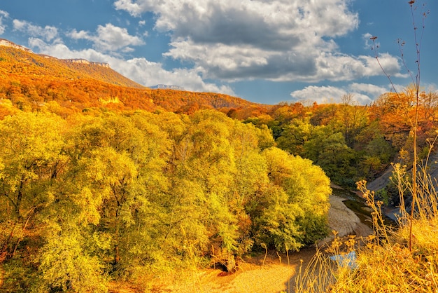 Herfstlandschap van een berghelling bedekt met een dicht bos