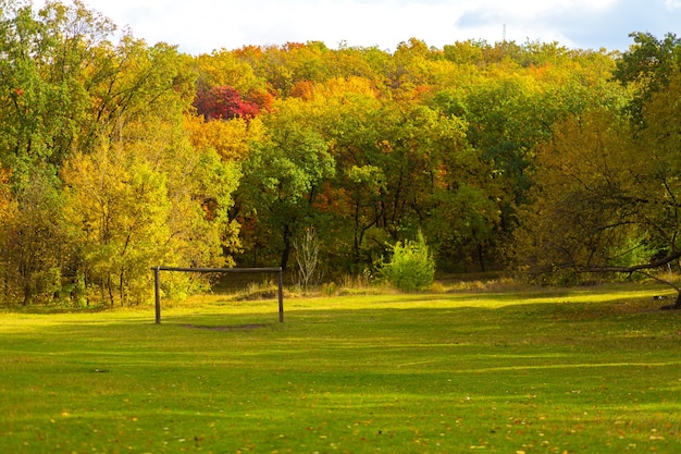 Herfstlandschap van een open plek van groen gazon met zonnestralen in een stadspark.