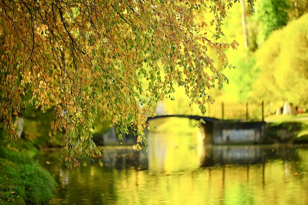 herfstlandschap vijver in het centrale park van de stad, prachtig herfstlandschap uitzicht herfst natuur