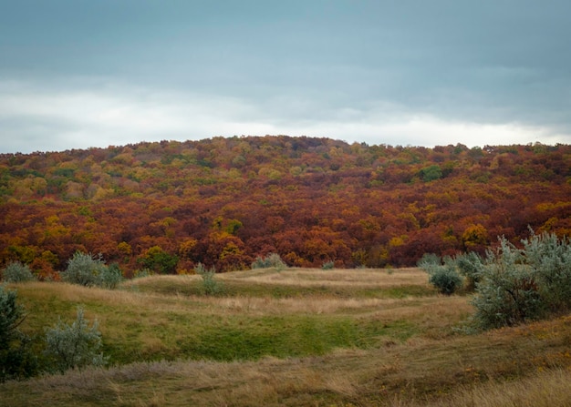 herfstlandschap