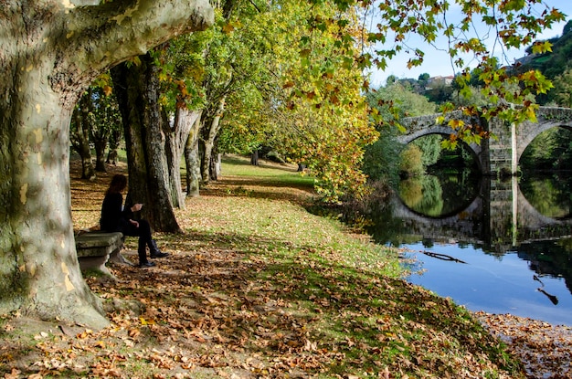 herfstlandschap