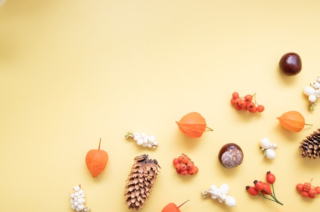 Herfstlay-out met physalis, kegels, bladeren, lijsterbes. Plat leggen van geschenken van de herfst op een gele achtergrond