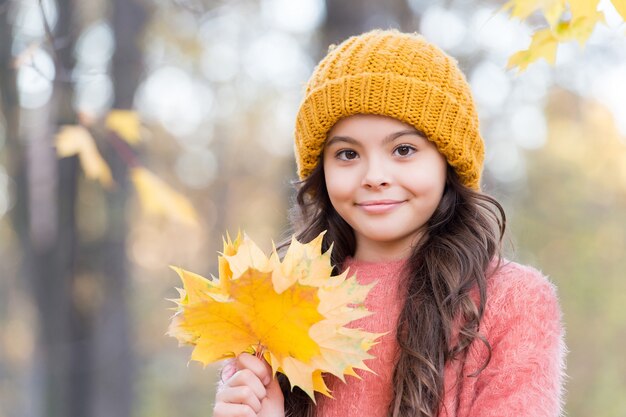 Herfstmeisje in stijlvolle gebreide muts en warme trui geniet van de dag in het bos met gele esdoornbladeren als symbool van het herfstseizoen, seizoensweer.