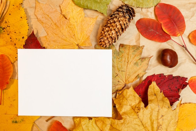 Foto herfstmodel met gele, rode bladeren. sparappels en een wit vel papier voor de inscriptie.