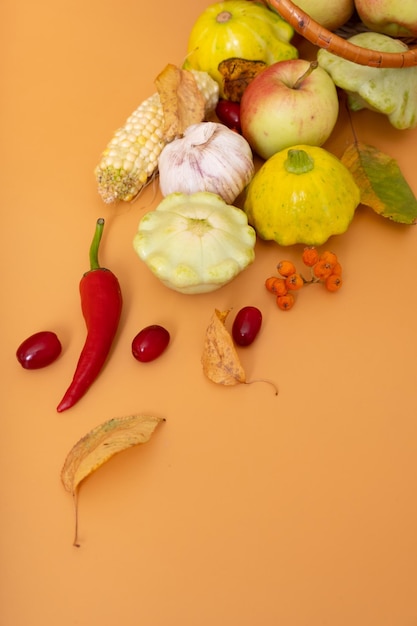 Herfstoogstmand met maïsappels, courgette en paprika op een oranje achtergrond Oogstconcept