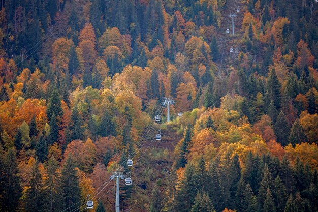 Foto herfstpalet in het stille bos in de franse alpen kabelbanen opgehangen ledig buiten het seizoen stilte