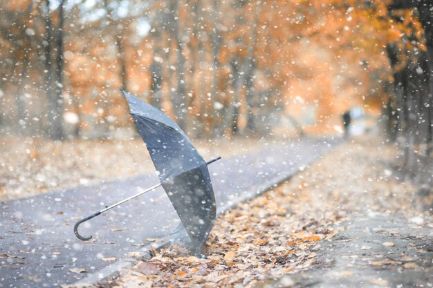 Herfstpark in de dagen van de eerste sneeuw