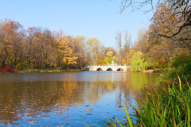 Herfstpark met bomen over blauwe meerwateren, Lazienki, Warschau, Poland