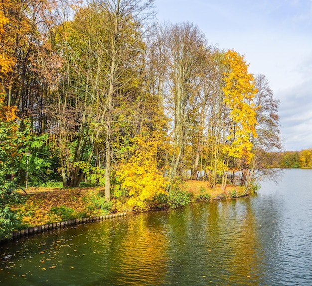 Herfstpark met een prachtig meer Heldere kleurrijke bomen die reflecteren in het kalme water van een meer