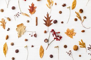 Herfstpatroon met natuurlijke bosdetails plat gelegd herfstbladeren bessen eikels walnoten kaneel en anijs op witte achtergrond hallo herfst