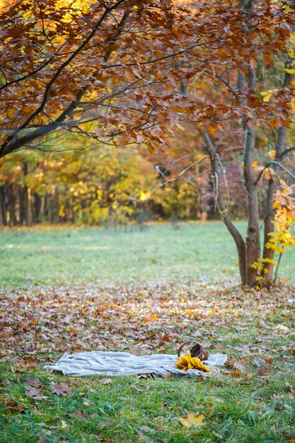 Herfstpicknick in het park, het bos op de sprei, in de mand pompoen, appels, vers stokbrood. Gevallen bladeren op de grond