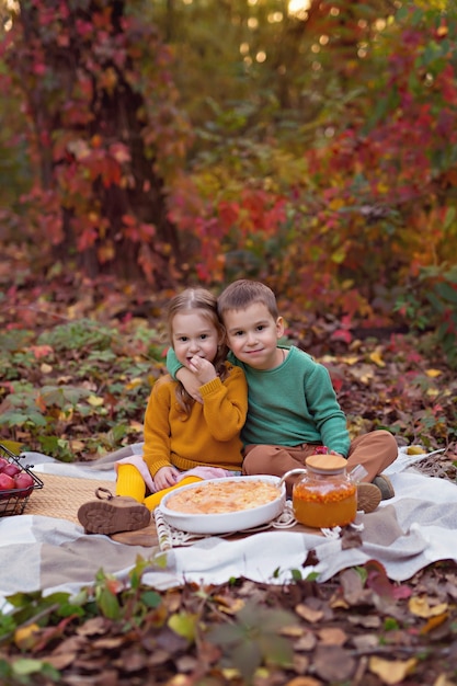 Herfstpicknick met pompoen, appels, thee