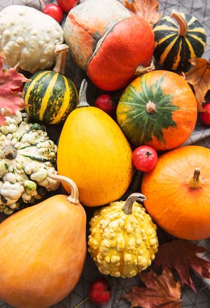 Herfstsamenstelling, gezellig herfstseizoen, pompoenen en bladeren op textielachtergrond. Symbool van Thanksgiving vakantie, plat lag