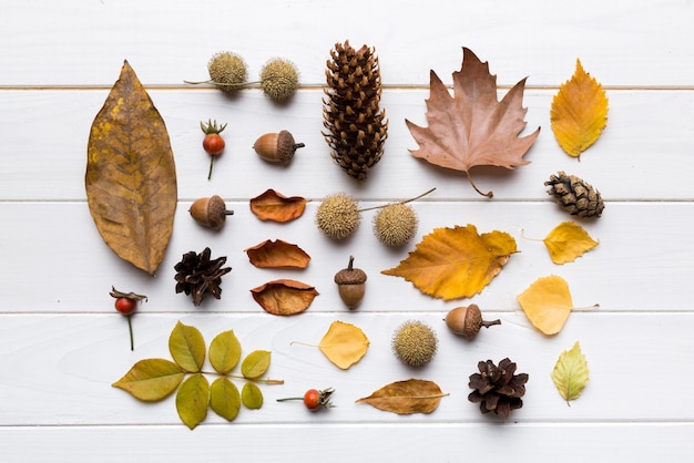 Herfstsamenstelling patroon gemaakt van gedroogde bladeren en andere designaccessoires op tafel platliggend bovenaanzicht