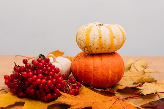 Herfstsamenstelling van kleine pompoenen en viburnum