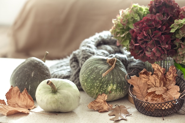 Herfstsamenstelling van pompoenen, droge bladeren en bordeauxrode hortensiabloemen in koude kleuren. Herfst decor en oogst concept kopie ruimte.