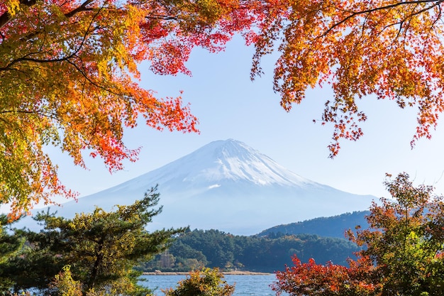 Herfstseizoen en Mount Fuji