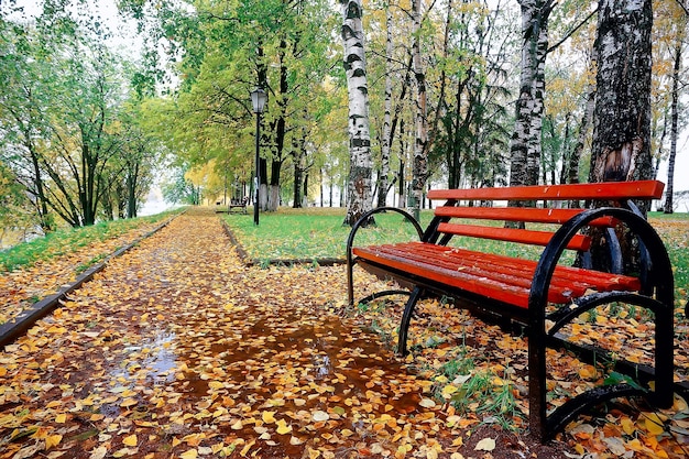 herfstseizoen landschap in park, uitzicht op gele bomen steegje achtergrond