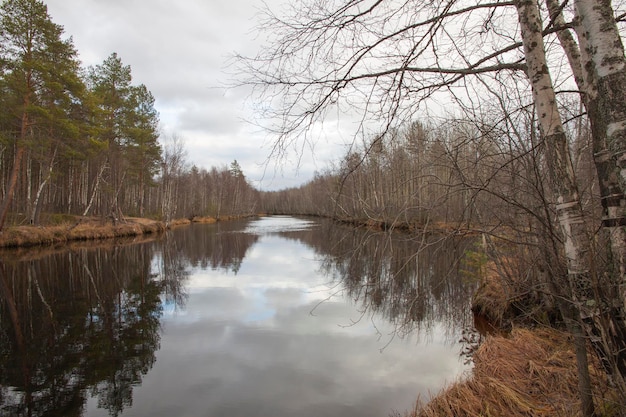 Foto herfstseizoen op een rivier met bomen zonder blad en verdord gras